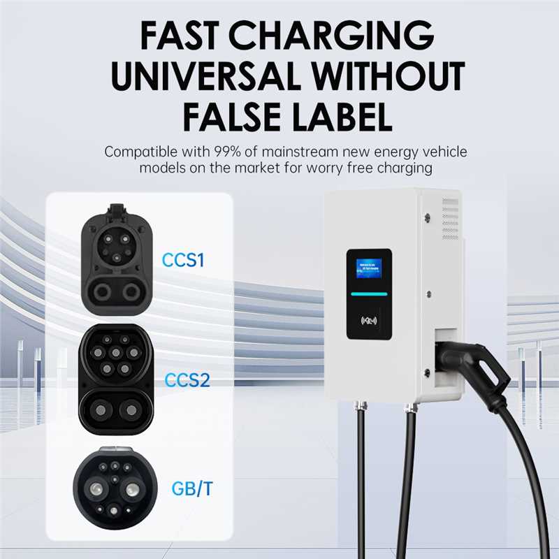 RSCHG 20kw CCS1 IP54  DC Elect - огляд і ціна Wallbox Ev